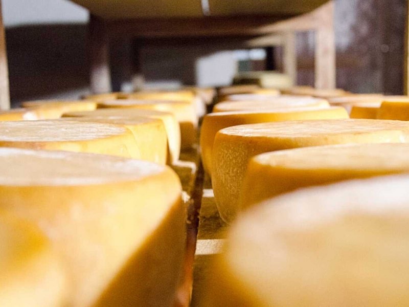 museo-del-queso-manchego-5
