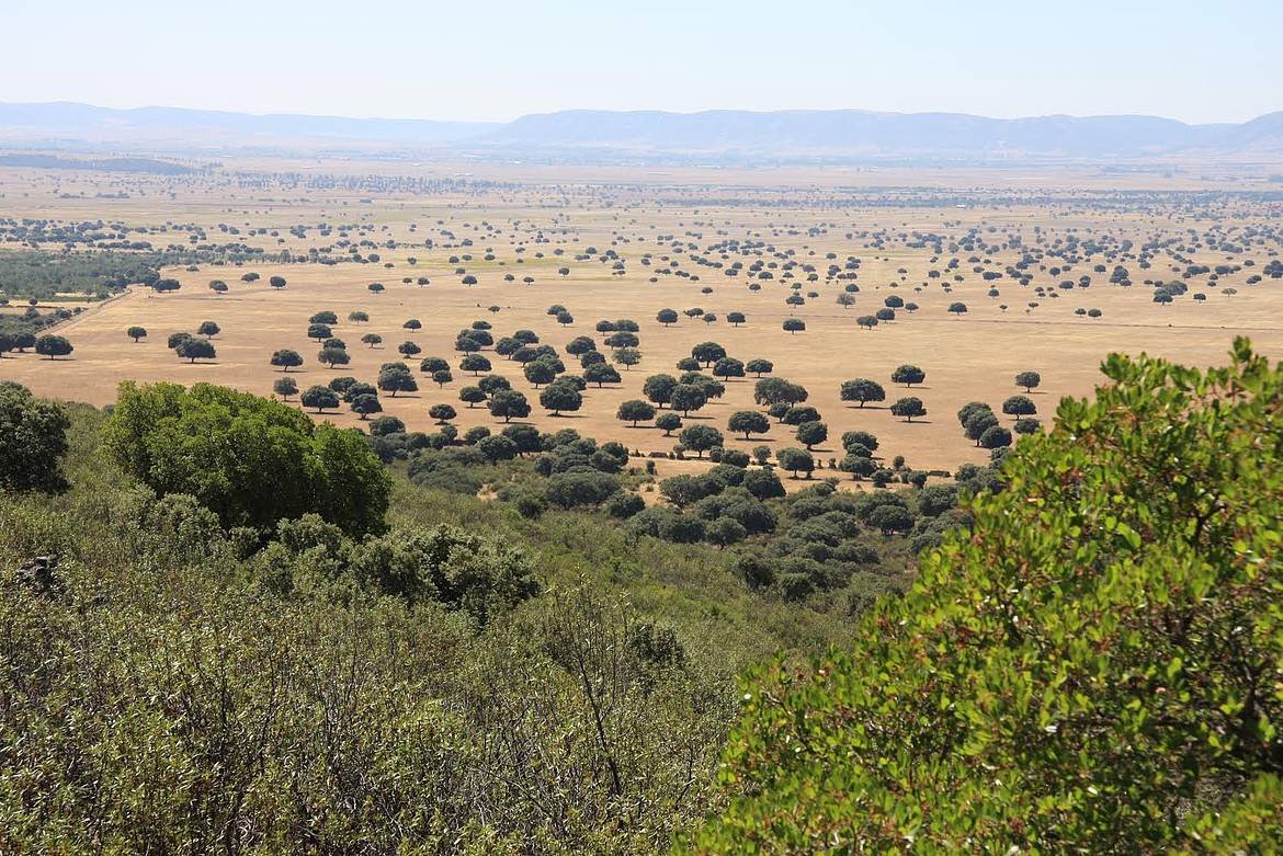 parque-nacional-cabaneros-cabecera
