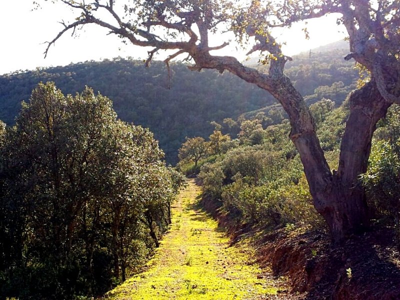 parque-nacional-cabaneros-foto-3