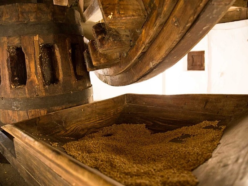 los-molinos-de-mota-del-cuervo-10