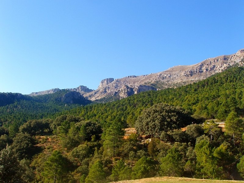 calares-del-mundo-y-de-la-sima-2